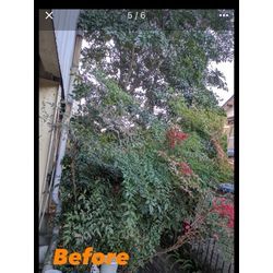 S様からのご依頼の画像1