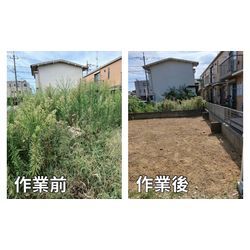 草刈り・草むしりはお任せください！の画像1
