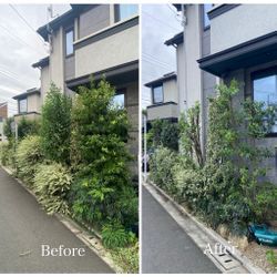 家まわりが見違える！プロの剪定でスッキリ美しく｜通行の妨げも解消！の画像2