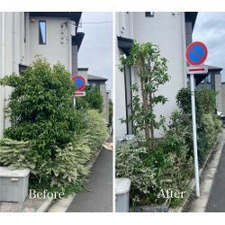 家まわりが見違える！プロの剪定でスッキリ美しく｜通行の妨げも解消！の画像1