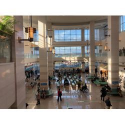 原因不明の咳の画像1