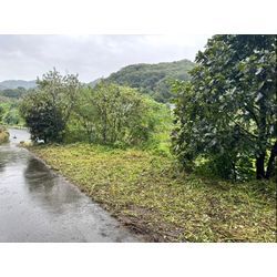 おはようございます！除草作業をさせて頂きました！の画像2