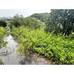 おはようございます！除草作業をさせて頂きました！の画像1