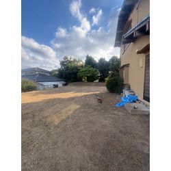 草刈りフィーバーの画像3