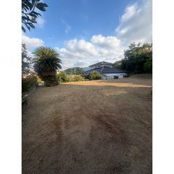 草刈りフィーバーの画像2