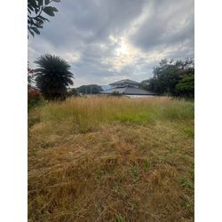 草刈りフィーバーの画像1