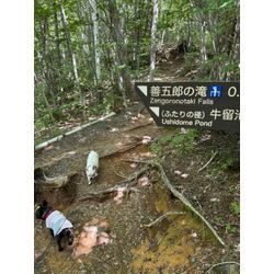 【週末旅行】愛犬ピノと乗鞍のペンションへ！おこめも一緒に大満喫の2日間🐾の画像2