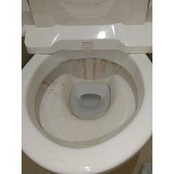 新年も通常モードになりましたね！の画像2