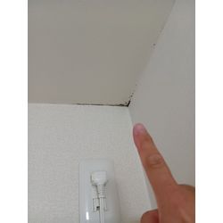 壁紙クロスのカビ除去クリーニングの画像1