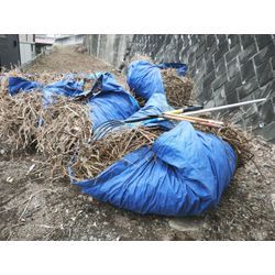 運良く天気が何とか持っている！　群馬高崎の植木屋ゆうさんShortBlog〜の画像1