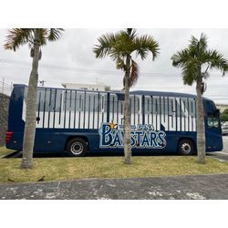 🌺沖縄キャンプ　横浜ベイスターズ🌺の画像3