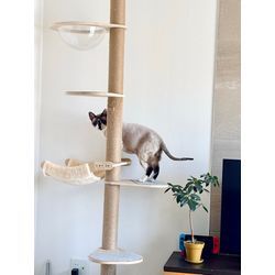 ☆開業265日目☆の画像1