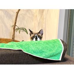 ☆開業265日目☆の画像3