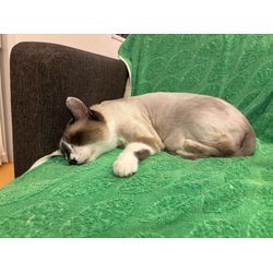 ☆開業265日目☆の画像2