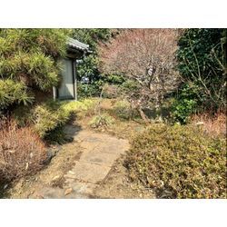 おはようございます！除草作業をさせて頂きました！の画像3