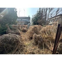 おはようございます！除草作業をさせて頂きました！の画像1