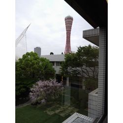 総会の画像2