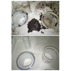 中央区 洗濯機 排水口詰まり除去！の画像2