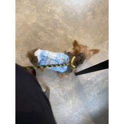 今回はお仕事のお話♪の画像1