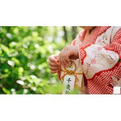 七五三、春に撮るご家族が増えています🌿の画像2