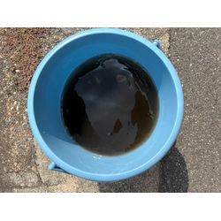 ピカピカにしませんか？の画像3