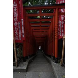 山王日枝神社でお宮参りの撮影で伺いました📸✨の画像2