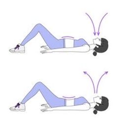 「多裂筋」という筋肉についての画像2