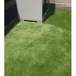 寒い時期にやっておきたい庭仕事 ①の画像2