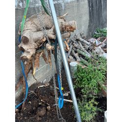 大津市　抜根の画像1