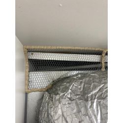 ネズミ　テナント　福岡県飯塚市の画像2