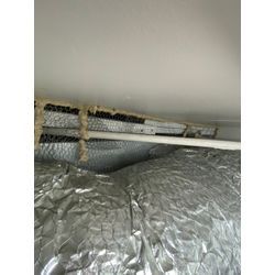 ネズミ　テナント　福岡県飯塚市の画像1