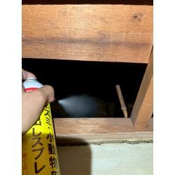 大阪府にてネズミ駆除防除対策を行いました。の画像2