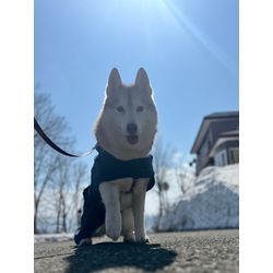 【ご報告と感謝】エアコン・ドラム式洗濯機ともに地域ランキング1位を獲得しました！の画像1