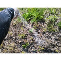 草刈＆除草剤散布から高崎市で剪定の見積訪問前のコーヒーブレイク♪　群馬高崎の植木屋ゆうさん超SortBlogの画像3