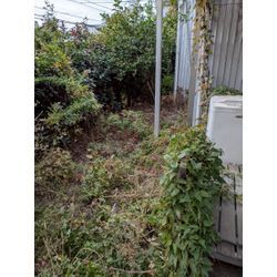 神奈川県藤沢市のアパートの草むしりを行いましたの画像1