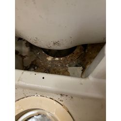 【エプロン内の排水口】の画像1