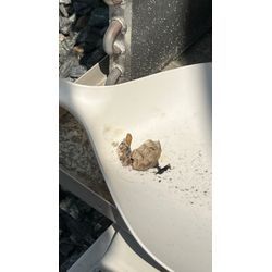 室外機清掃の必要性は？の画像3