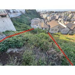 【横浜市】自宅前の所有地の除草作業 2025.11.27の画像1