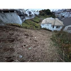 【横浜市】自宅前の所有地の除草作業 2025.11.27の画像2