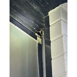 世田谷区トコジラミ駆除の画像1