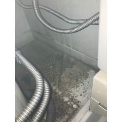 【エプロン内高圧洗浄】の画像1