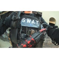S.W.A.Tで剪定2 | 広島県で庭木の剪定は塩田剪庭園の画像1