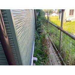 抜根除草作業　狭い所でもご対応致しますの画像1