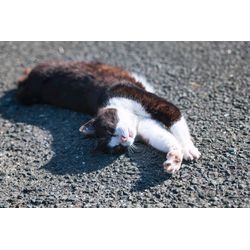 はじめまして！の画像3