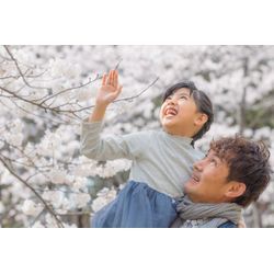 ファミリーフォト in 大阪の画像1
