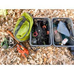 北軽井沢別荘地でナラの木の剪定を行いました。の画像3