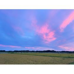 千葉支店はじめました（冷やし）の画像3