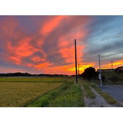 千葉支店はじめました（冷やし）の画像2