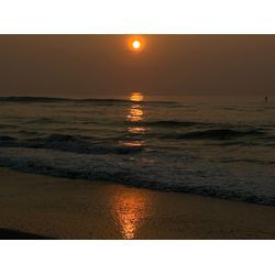 千葉支店はじめました（冷やし）の画像1