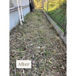 A様からのご依頼の画像2